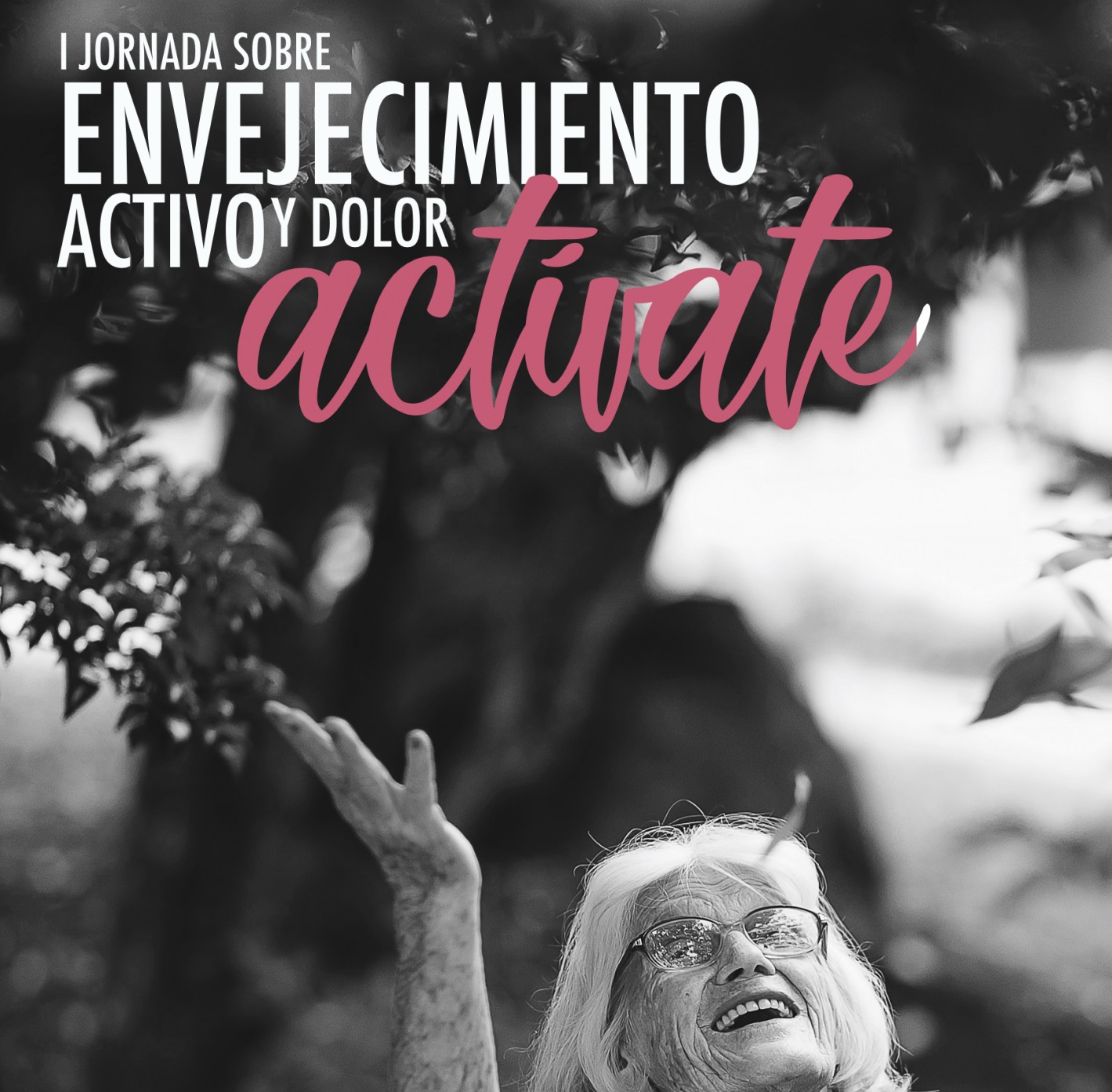 1asJORNADAS ACTIVATE
