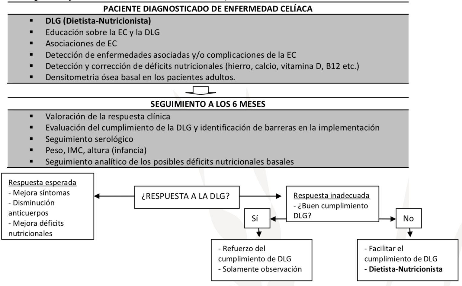 Captura de pantalla 2021 05 31 a las 18.51.00