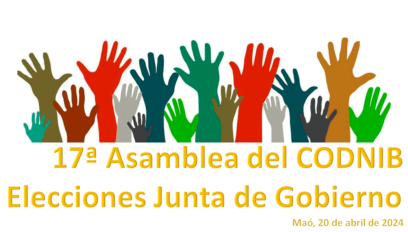 conjuna AG Elecc 2024